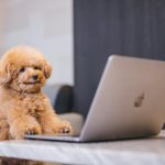 広告の種類と始める前に決めるべきこと