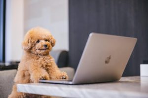 広告の種類と始める前に決めるべきこと